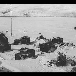 Photograph - Base Camp at Macquarie Island, 1960
