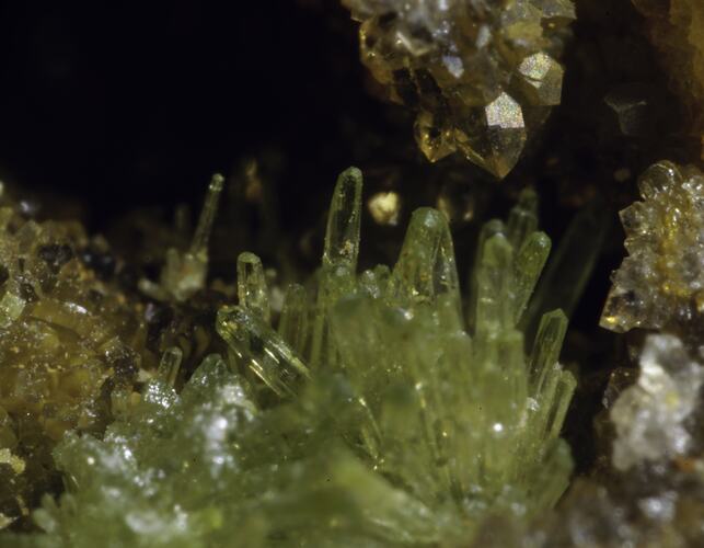 Rod-like green crystals gorwing below chunky yellow crystals.