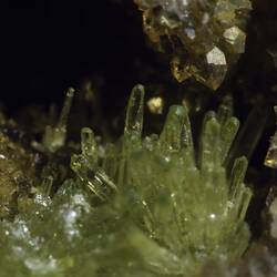 Rod-like green crystals gorwing below chunky yellow crystals.