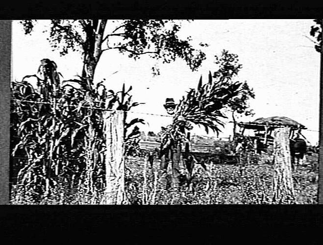 MERRIGUM - UNKNOWN LOCATION
