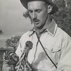 Ornithology Curator Warren Hitchcock holding emu chicks, c.1950