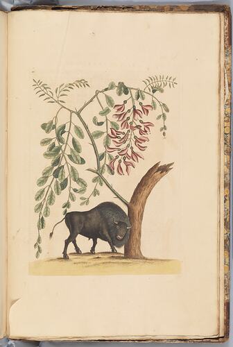 A bison headbutting a tree trunk. Green and pink leaves above and yellow earth below.