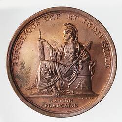 Medal - Republican Constitution Adopted, France, 1793