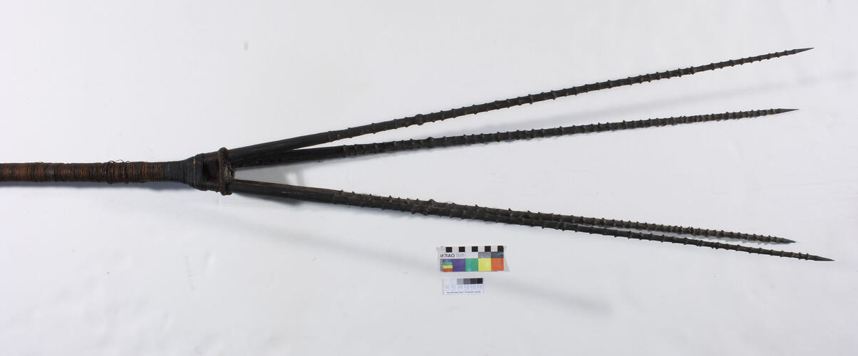 Spear