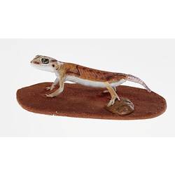 Cast model of gecko on brown base.