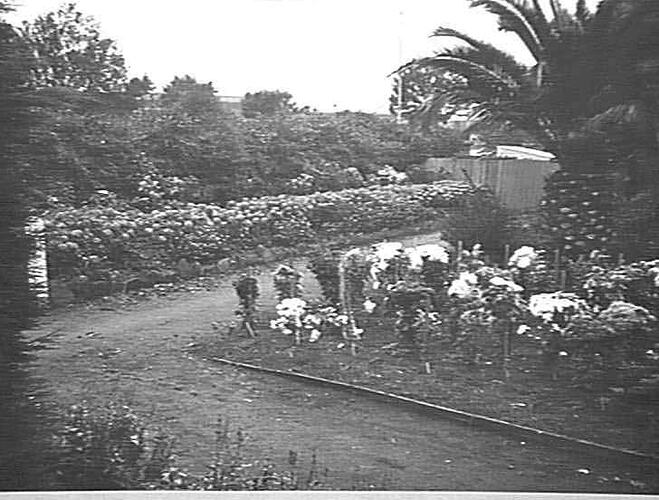 TAKEN IN SUNSHINE GARDENS: APRIL 1935