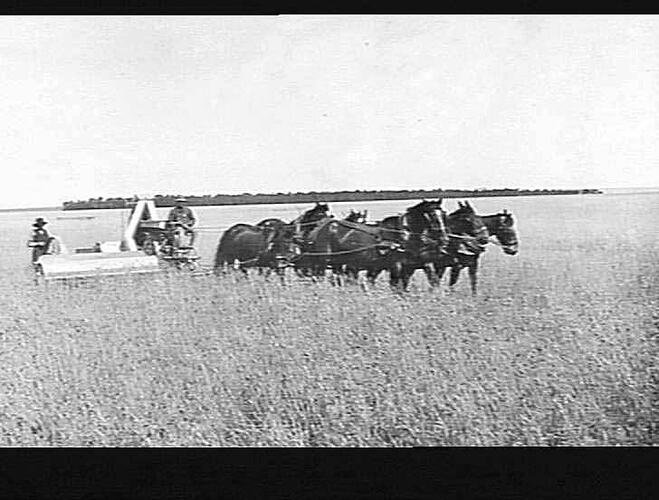 Photograph - H. V. McKay factory and/or equipment