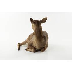 Taxidermied deer specimen mounted lying down.