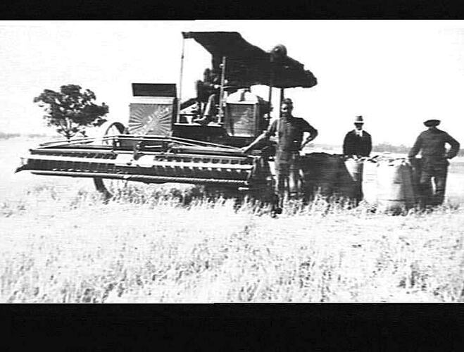 AUTO HEADER WORKING ON MR. H. R. GILLESPIE'S FARM, SALISBURY WEST: DEC 1928