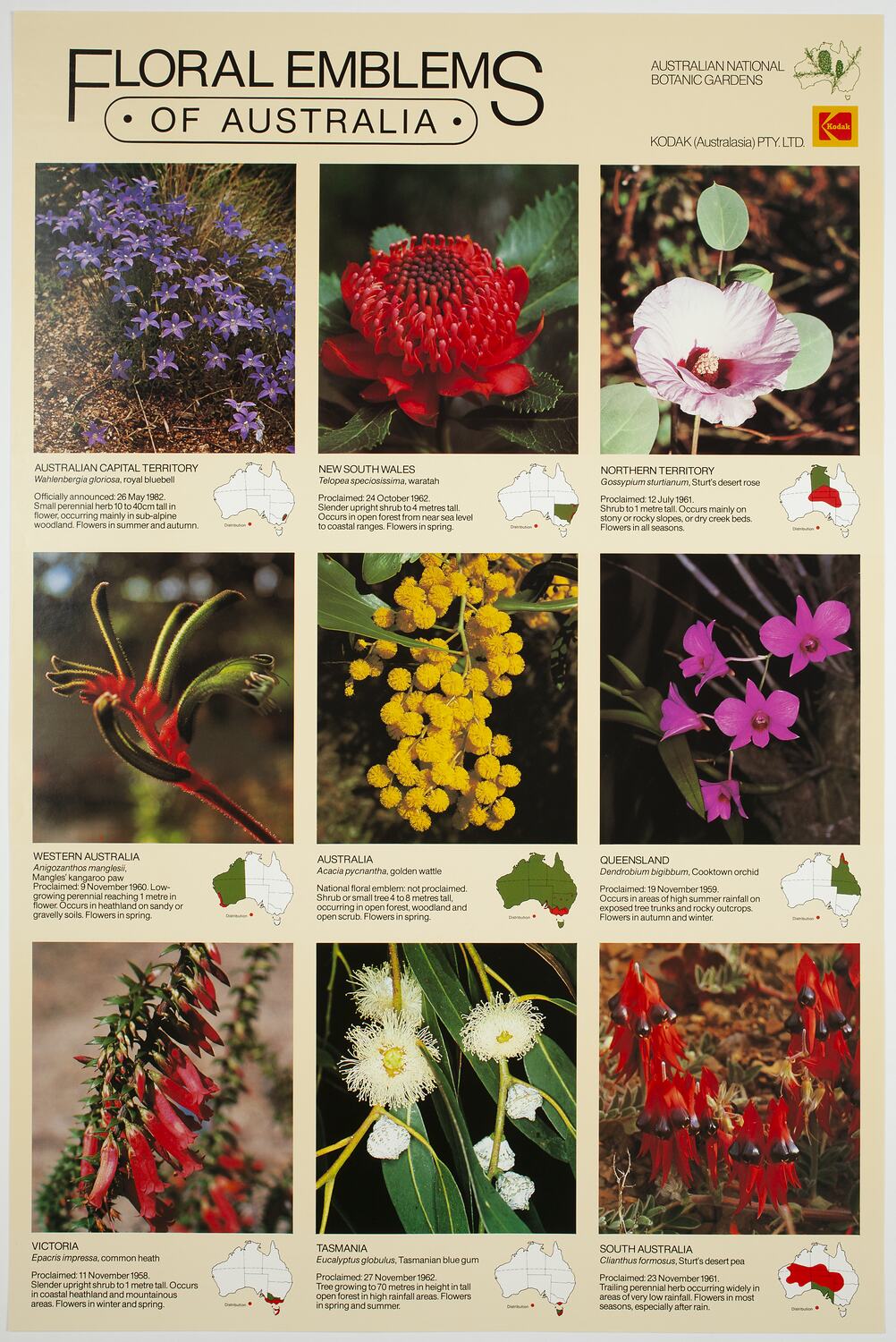 Poster - Kodak Australasia Pty Ltd, 'Floral Emblems of Australia ...