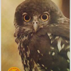 Poster - Kodak Australasia Pty Ltd, Native Owl, 'Capture Your Friends on Kodak Film', 1982-1990