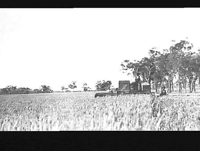 MISTERS HAMILTON BROS INVERELL N.S.W. 1928 NO NEGATIVES