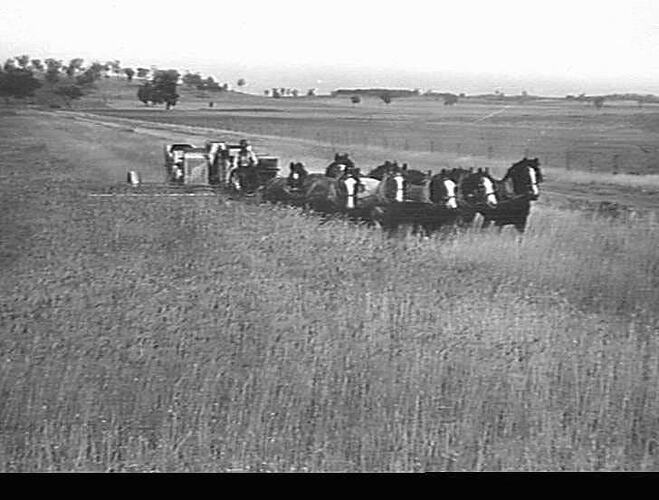 Photograph - H. V. McKay factory and/or equipment