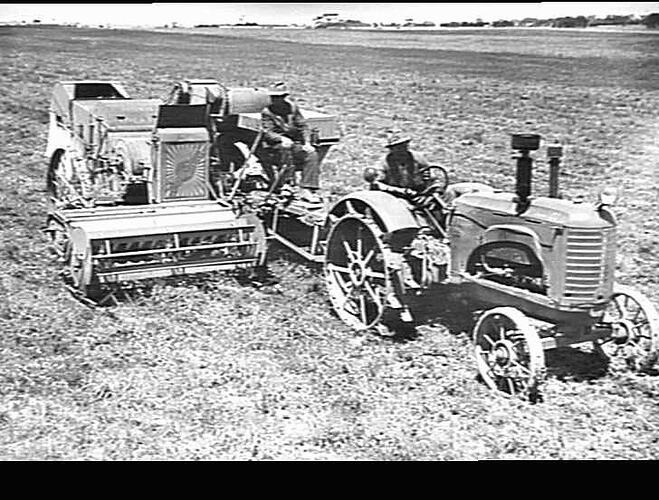 G. SHURMAN, STRATHKELLAR, HARVESTING CANNERS PERFECTION PEAS WITH A SUNSHINE H.S.T. POWER-TAKE-OFF HEADER EQUIPPED WITH PEA FRONT AND RUBBERISED THRASHING DRUM. DRAWN BY A SUNSHINE MASSEY HARRIS NO. 102 TRACTOR: JAN 1945
