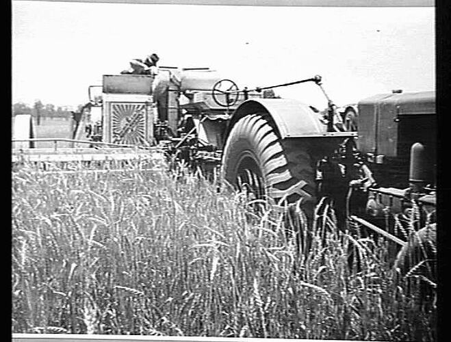 12 FT NO 2 POWER TAKE OFF HEADER & 26/41 TRACTOR ALSO A.L. HARVESTER WITH MASSEY HARRIS TRACTOR J. G. DRIUTT'S DUBBO N.S.W. DEC 1938