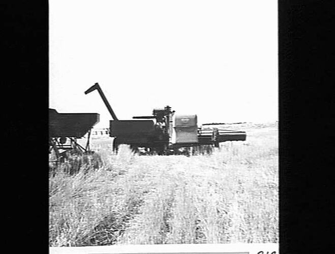 TRAILER BIN AT MURTOA: FEB 1956