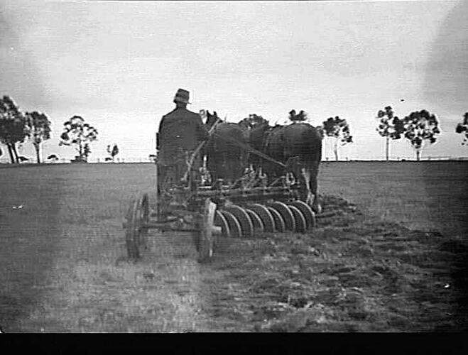 MR. H. G. TOWNSING'S FARM, DIGGERS REST: `SUNDERCUT': JULY 1924
