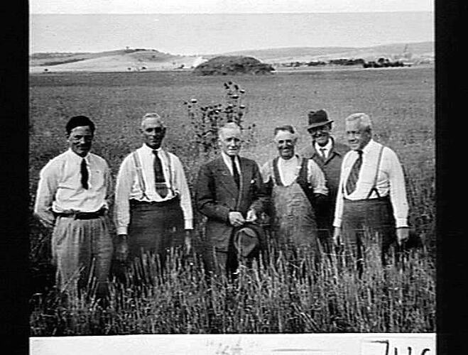 TO SEE FOR THEMSELVES. THE SUNSHINE NO. 4 HEADER TOOK OFF A FINE CROP OF WHEAT ON MR J. CONGRAM'S FARM AT WALLAN, VIC.. ON A VISIT TO STUDY THE PERFORMANCE OF THE MACHINE, ARE PHOTOGRAPHED (FROM L. TO R.) MR. GAUNT, MR. SHARP, MR. C.N. MCKAY, MR. CONGRAM,