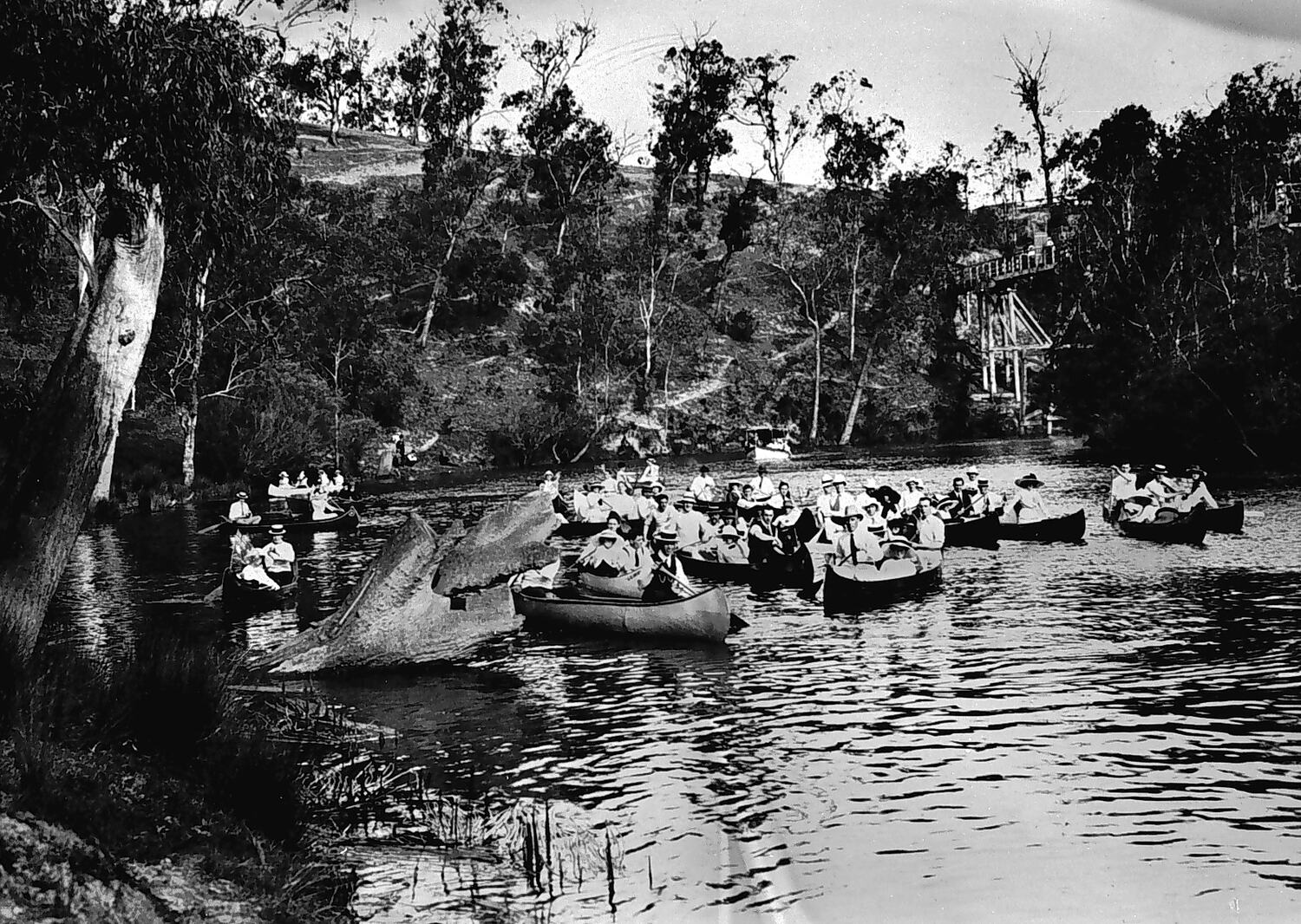 negative-kew-victoria-1908