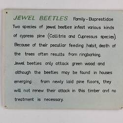 Exhibition Label - Jewel Beetle, Institute of Applied Science, Melbourne, circa 1965