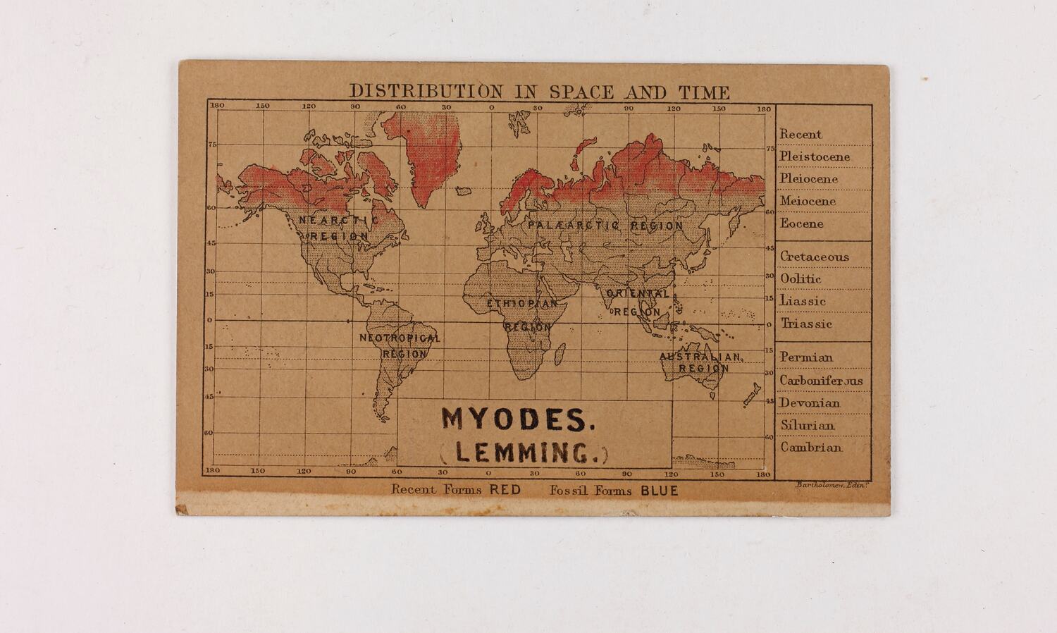Myodes Rutilus Distribution Exhibition Label - Species Distribution in Space & Time, Myodes ...