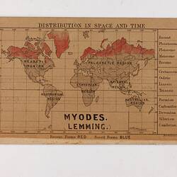 Exhibition Label - Species Distribution in Space & Time, Myodes ...
