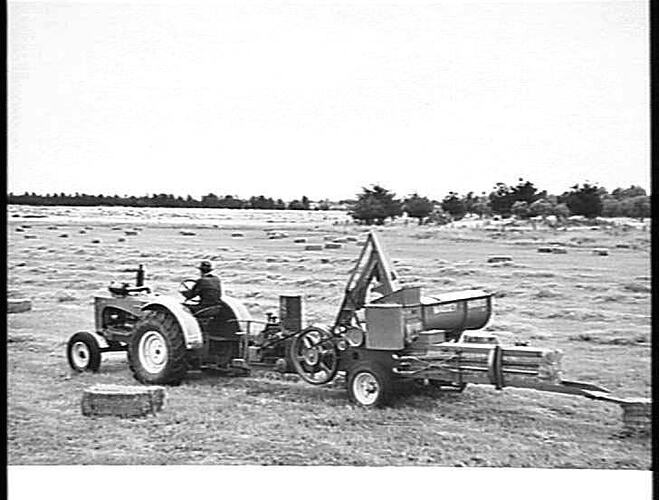 427. THE 701 MASSEY-HARRIS AUTOMATIC TWINE-TIE PICKUP BALER BALING RYE GRASS AT THE METROPOLITAN BOARD'S FARM AT WERRIBEE, VIC., JANUARY  1952.