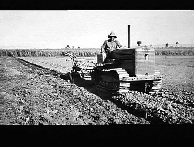 `SUNLORD' WITH SPECIAL BEARING HAULED BY MODEL E CLETRAC: FERNDANDO, INGHAM, QLD.: AUG 1941