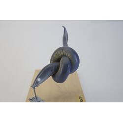 <em>Eptatretus cirrhatus</em>, Broadgilled Hagfish, model. [A 26658-002]