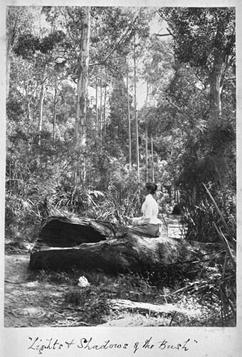 THE DANDENONGS (Continued) 1893 "Lights & Shadows of the Bush"