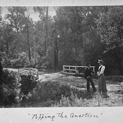 Photograph - by A.J. Campbell, Ferntree Gully, Victoria, circa 1890