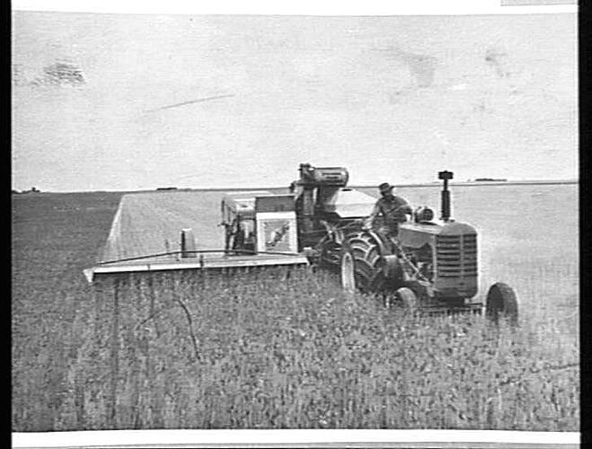 Photograph - H. V. McKay factory and/or equipment