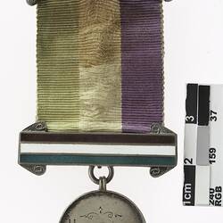 Round medal with green, brown and purple ribbon with metal bars at both ends.