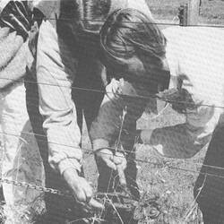 Activites, Women on Farms Gathering, Glenormiston 1994