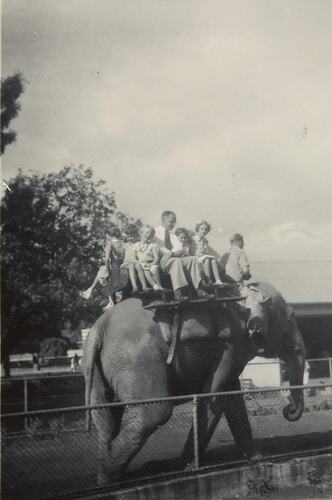 Digital Photograph - Children and Men Riding Elephant at Melbourne Zoo, 1955-1956