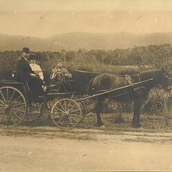 Digital Photograph - Man Driving Horse & Buggy, with Wife & Children, Ferntree Gully, circa 1910