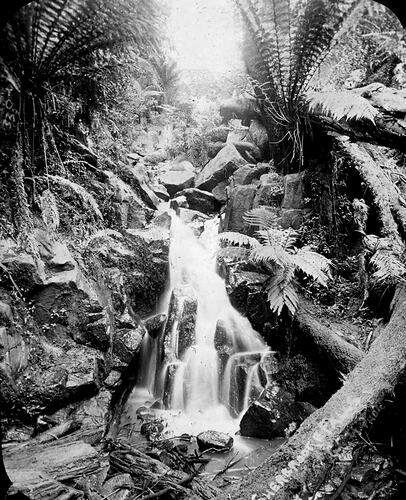 Lantern Slide - Sherbrooke Falls, Victoria, 1900. [BA 1645]