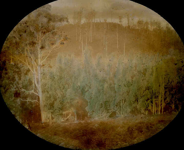 Lantern Slide - Hardys Creek, Victoria, 1940. [BA 1695]