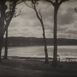 Photograph - Coastal Landscape, Lorne, Victoria, circa 1920s