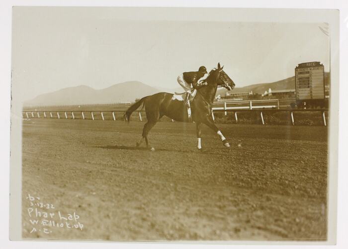 Photograph - Phar Lap & Jockey Bill Elliot, Agua Caliente, 1932
