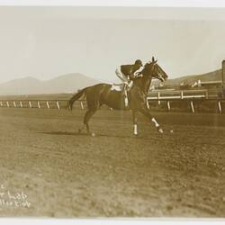 Photograph - Phar Lap & Jockey Bill Elliot, Agua Caliente, 1932