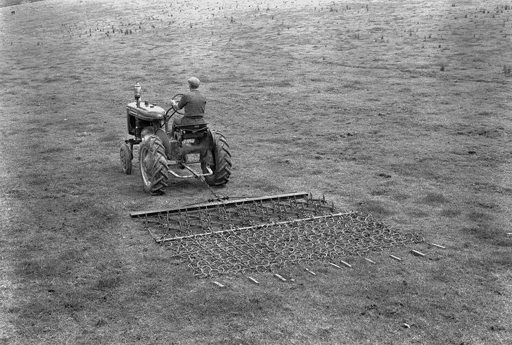 Farmall A, J. Wilson, Lilydale