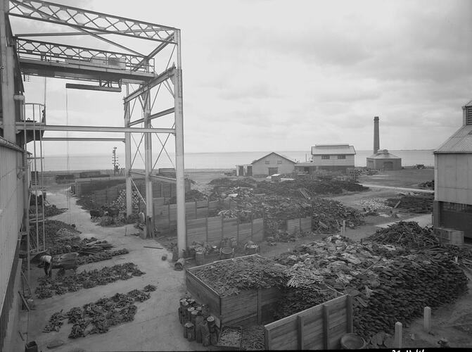 Scrap Yard, IHC Factory, Geelong