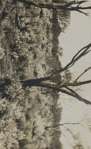 Photograph - Landscape, Kalgoorlie, Western Australia, circa 1920