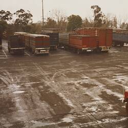 Digital Photograph - Stock Transport Trucks, Newmarket Saleyards, Newmarket, Sep 1985