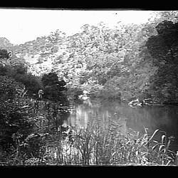 Glass Negative - River in a Forest, by A.J. Campbell, Australia, circa 1900