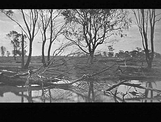 MERRIGUM - GENERAL SCENE