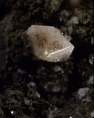 Pink crystal embedded in a dark rock.
