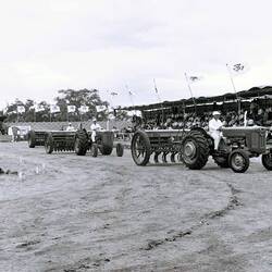Photograph - Massey Ferguson, MF65 Tractors & Disc & Tine Drills, Melton, Victoria, 1960