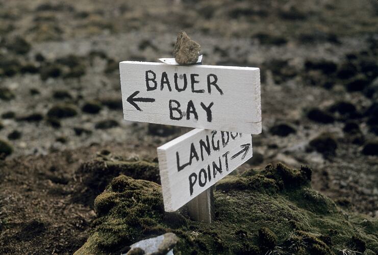Signs on Plateau to Bauer Bay & Langdon Point, Macquarie Island, Tasmania, Dec 1959
